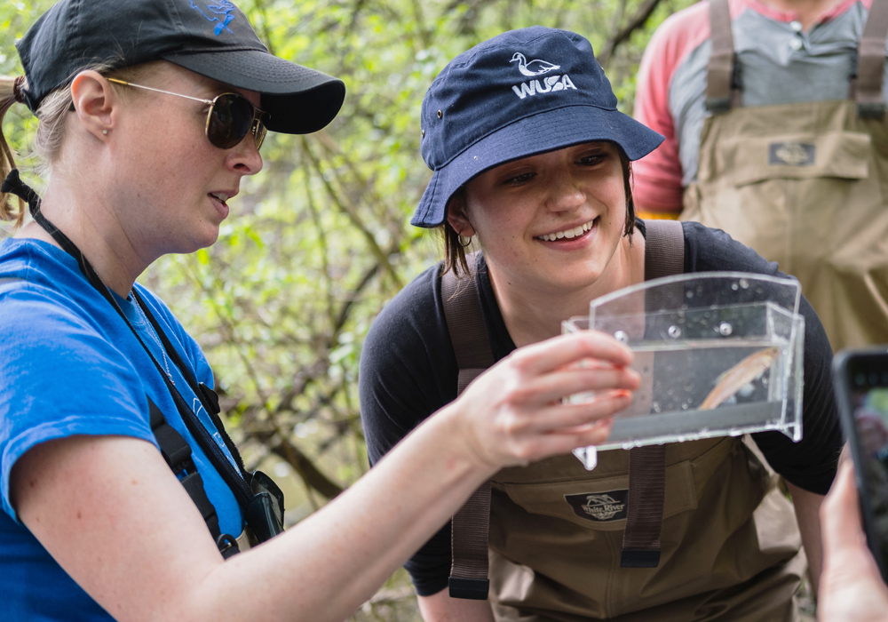 Students looking at a fish in the container