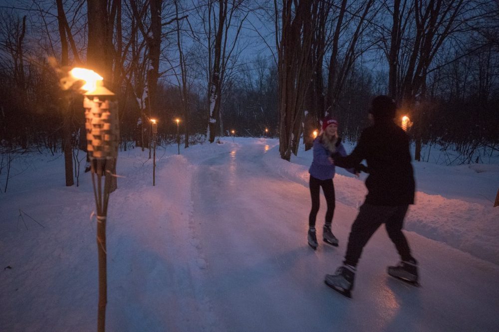 People enjoying skating, a winter activity in Ontario, Canada