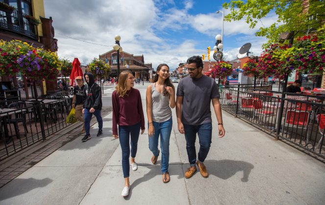 University Of Ottawa Study Ontario Canada university-of-ottawa-study-ontario-canada